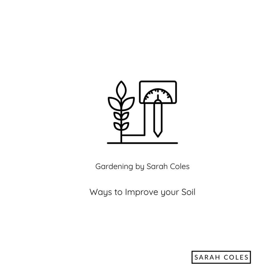 Ways to Improve your Soil Structure. Gardening by Sarah Coles. Image of plant and Soil Tester