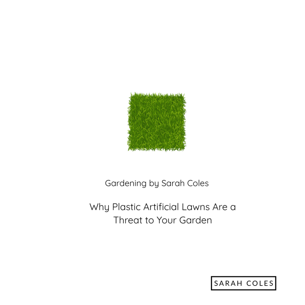 Image of Green Grass. Gardening by Sarah Coles. Why Plastic Artificial Lawns are a threat to your Garden.