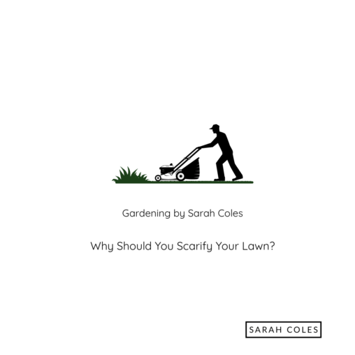 Why you Should Scarify your Lawn. Gardening by Sarah Coles. Outline of Scarifying Grass.