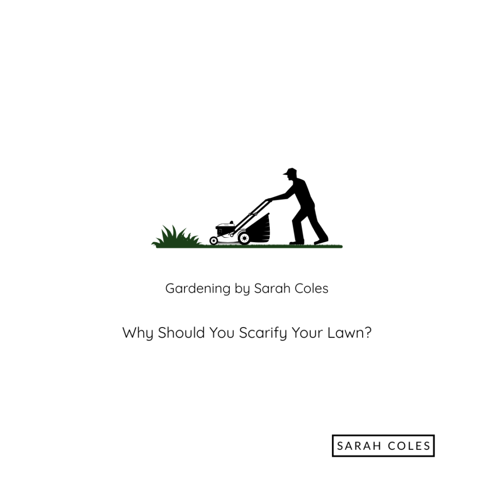 Why you Should Scarify your Lawn. Gardening by Sarah Coles. Outline of Scarifying Grass.