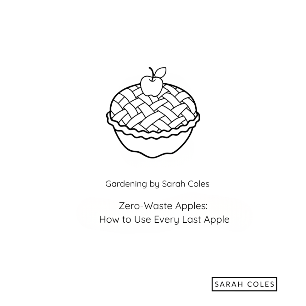 Zero-Waste Apples: How to Use Every Last Apple. Gardening by Sarah Coles. Outline of Apple Pie.