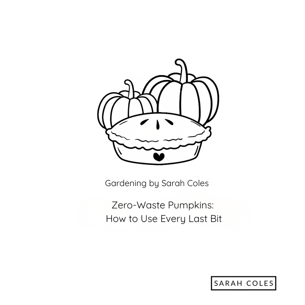 Zero Waste Pumpkins. How to Use Every Last Bit. Gardening by Sarah Coles. Outline of Pumpkin and Pie