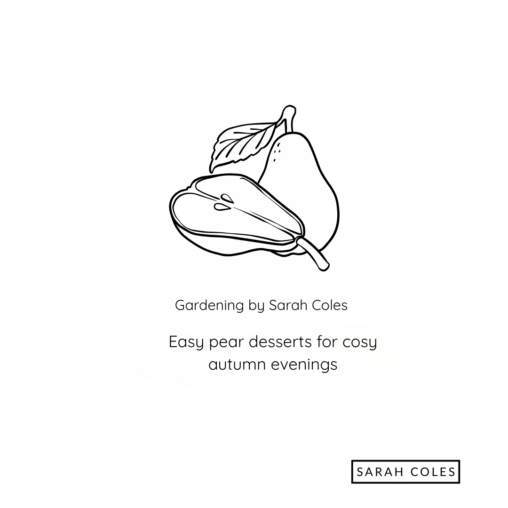 Easy pear desserts for cosy autumn evenings. Outline of Pears. Gardening by Sarah Coles