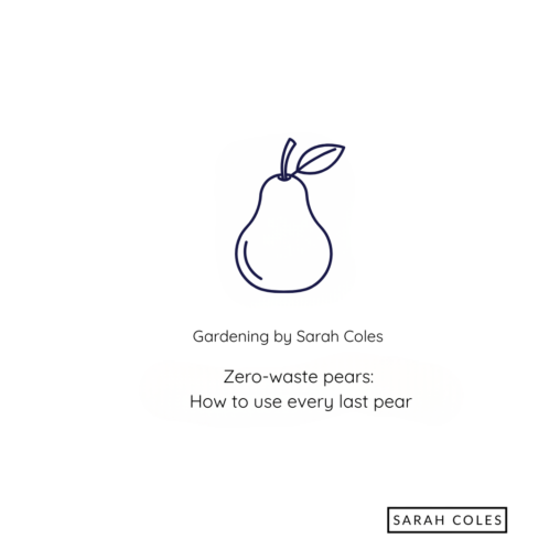 Zero-waste pears: how to use every last pear. Outline of Pear. Gardening by Sarah Coles