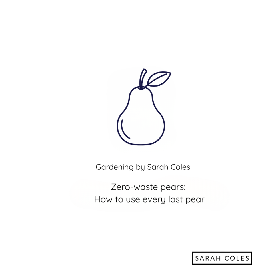 Zero-waste pears: how to use every last pear. Outline of Pear. Gardening by Sarah Coles
